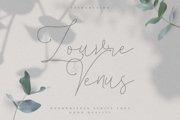 Louvre Venus: A Script Handwritten Font for Editorial Elegance