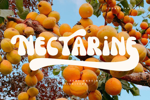 Nectarine Font Review: A Retro Display Type for Bold Projects